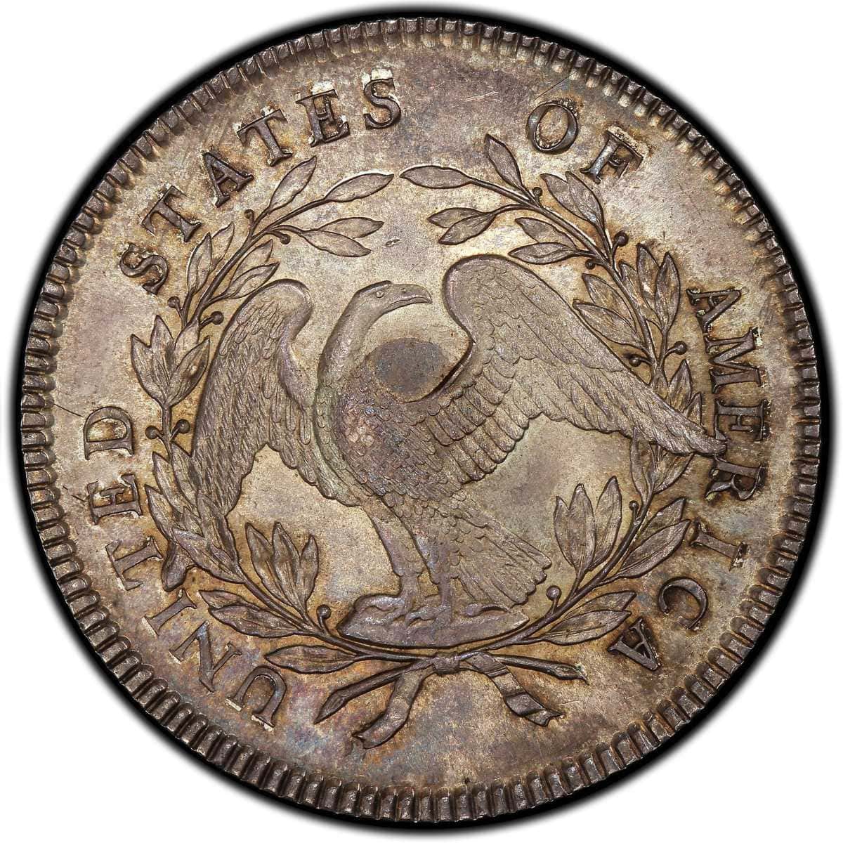 1795 Flowing Hair Silver Dollar Reverse Design and Features