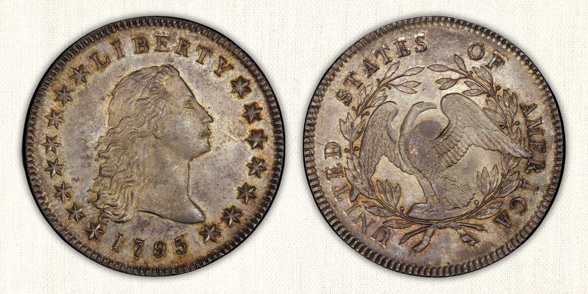 1795 Flowing Hair Silver Dollar Value