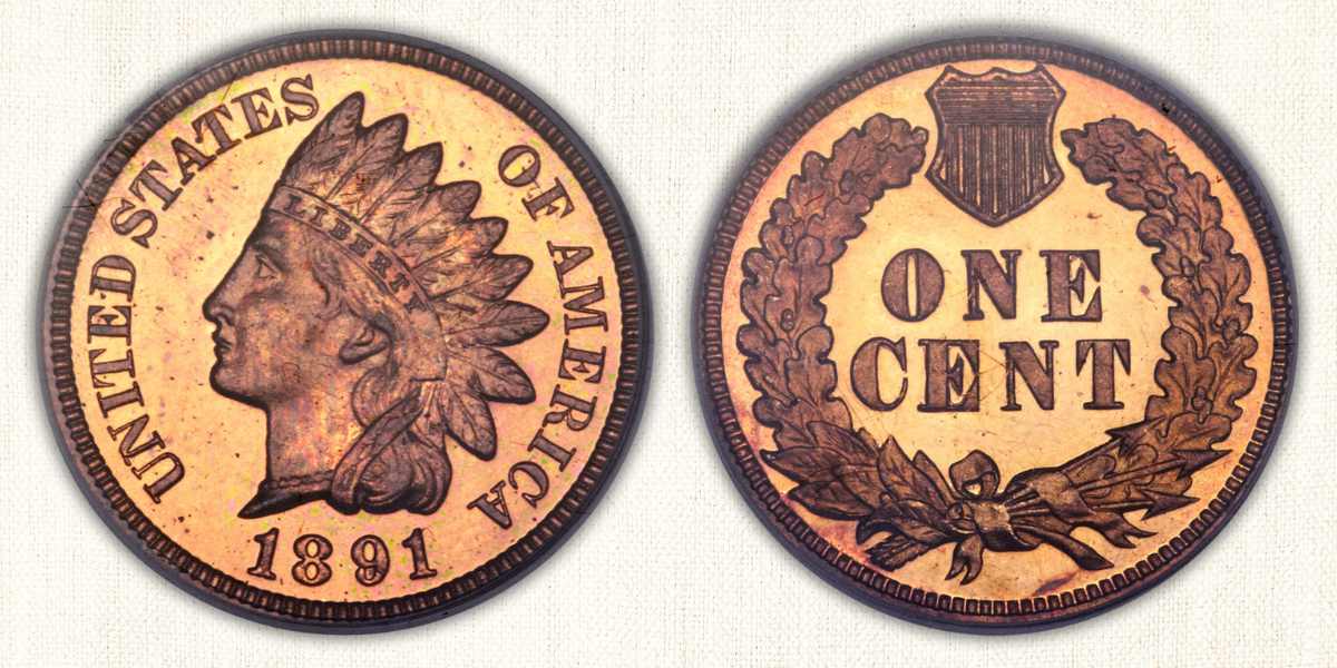 1891 Indian Head Coin Deep Cameos value