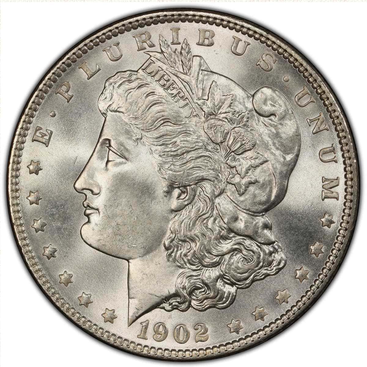 1902 Silver Dollar background