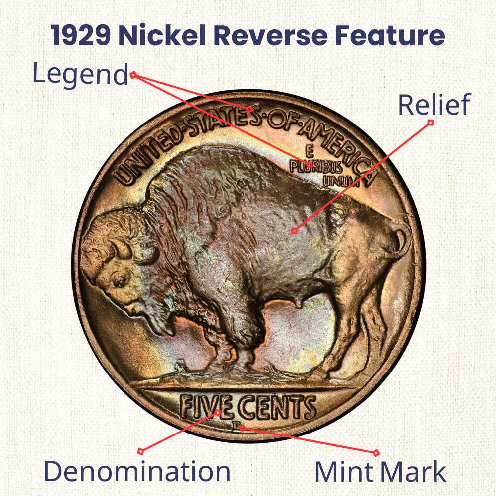 1929 Buffalo Nickel reverse feature.jpg