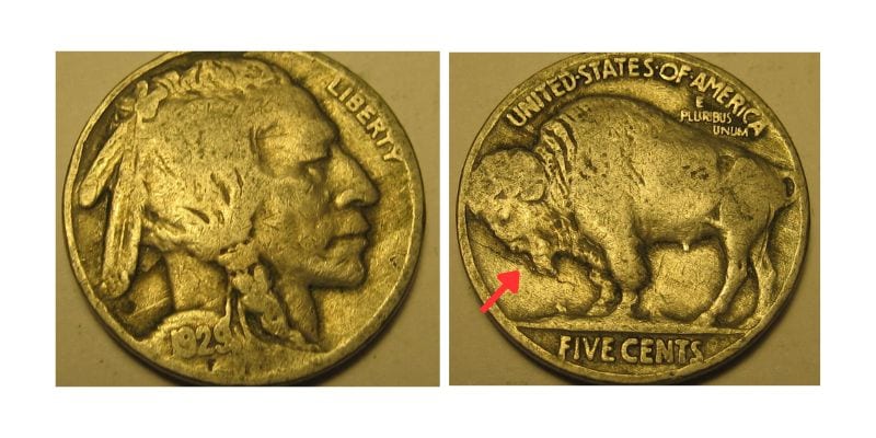 1929-P Reverse Die Crack Buffalo Nickel value