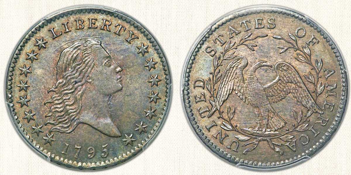 1795-P Flowing Hair Half Dollar Sold for $552,000